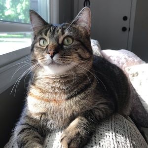 Meet your Posher, Hope